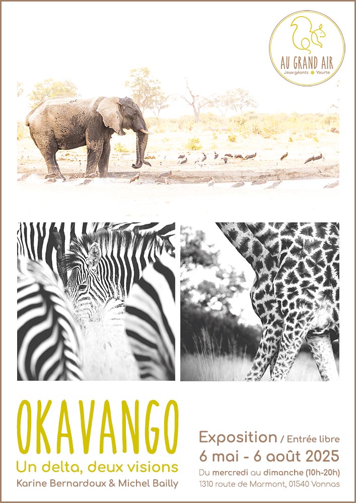 Exposition photo &laquo;&nbsp;Okavango&nbsp;&raquo; : une évasion Au Grand&nbsp;Air