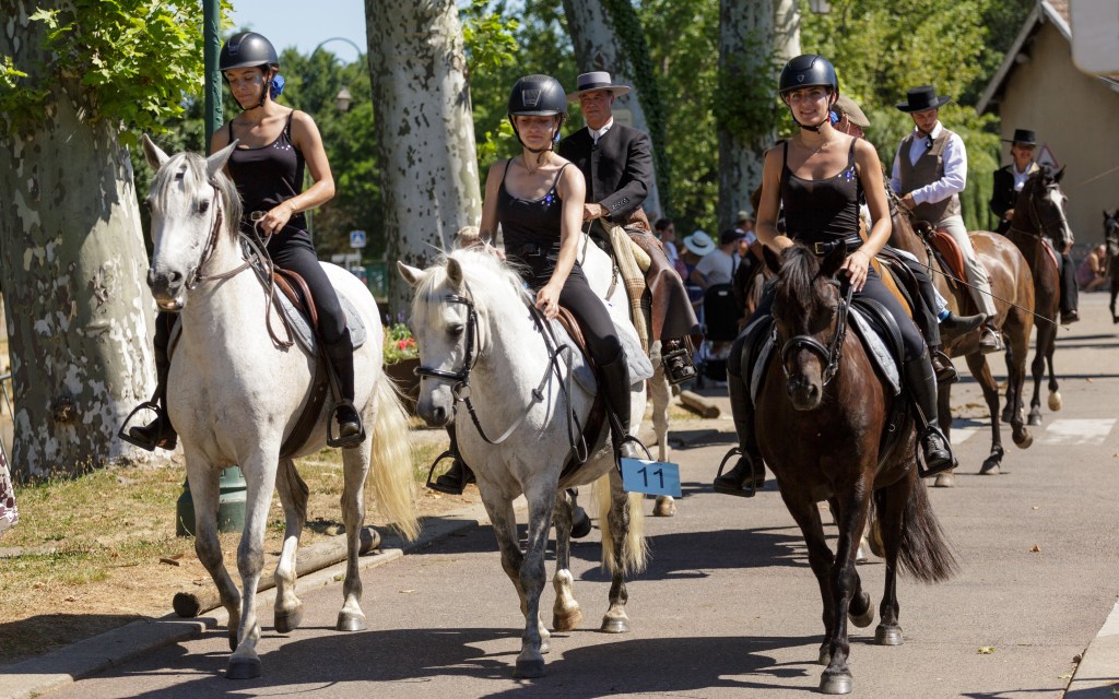  Retour en images de la fête de la crêpe et du cheval du dimanche 29&nbsp;juin