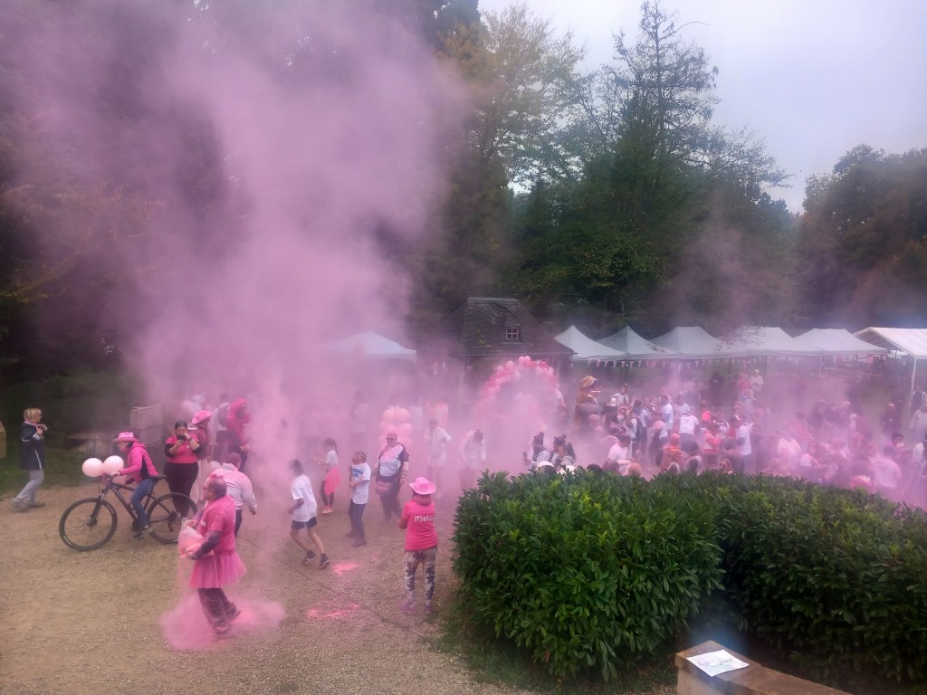 Une réussite pour la première Pink color Run à Pont-de-Veyle le 12&nbsp;octobre